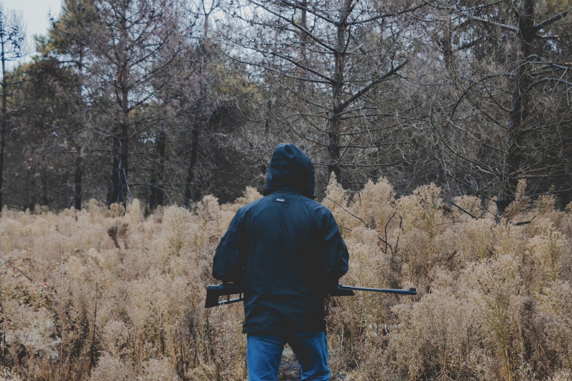 Tips on Choosing the Ideal Remington Firearm for Your Shooting Experience