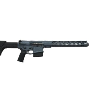 AR-10 Long Range Precision Rifle