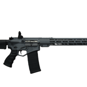 AR-15 Rifle